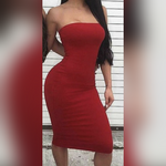 Load image into Gallery viewer, Bodycon Tube Dress
